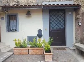 La Tana Cerdomare
