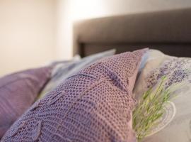 Delis Apartments - Dluga Street 11/3