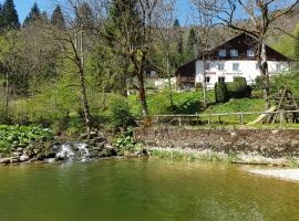 Auberge Le Moulin Du Plain, отель в городе Goumois