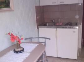 Apartments Vesna, hotel with parking in Ribarica