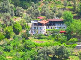 Gul Pension, lodge in Faralya