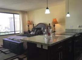 Waikiki Ala Moana Studio 30 days