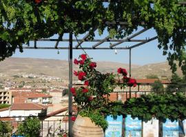 Dar Konak Pansiyon, homestay in Urgup