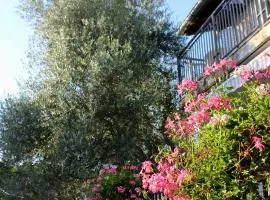Turković Apartments