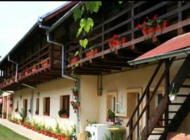 Pensiunea Leia Cârțișoara, hotel a Cîrţişoara