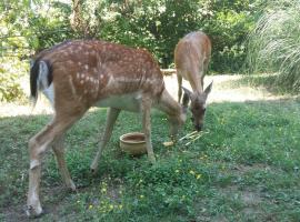 Cascina Bricco, alquiler vacacional en Ovada