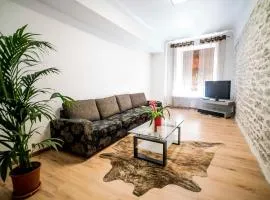 Viru Old Town Apartment
