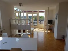 Pegasus Penthouse