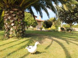 Casa Torreteyera, viešbutis mieste Viljavisjosa