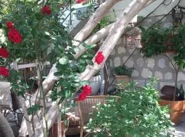 Cielito Lindo