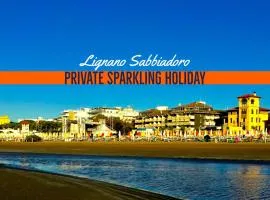 Sparkling Holiday