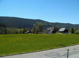 Hotel Rheingold Garni: Titisee-Neustadt şehrinde bir Oda ve Kahvaltı