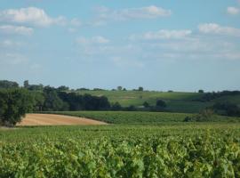 Chambres des Noels, B&B in Faye-dʼAnjou