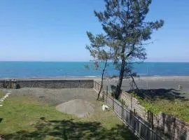 Shekvetili Beach House