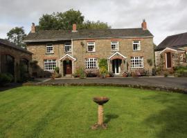 Fferm Y Felin, guest house in Carmarthen