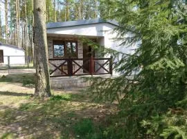 Domek letniskowy SZWED-POL