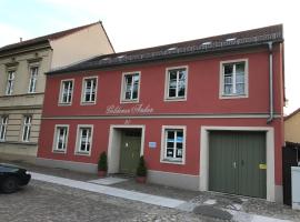 Goldener Anker, verschiedene gemütliche Ferienwohnungen, lejlighed i Rheinsberg