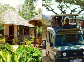 The Vijiji Center Lodge & Safari, hotel en Arusha
