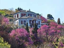 Stolios, apartamento en Skopelos