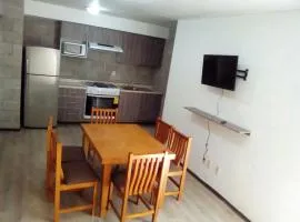 Departamento en el Centro