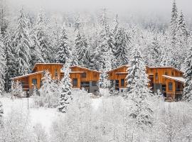 The Mountain Project #2, hotel v blízkosti zaujímavosti Motherlode Chair (Rossland)