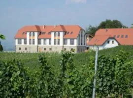 Weingut Taggenbrunn