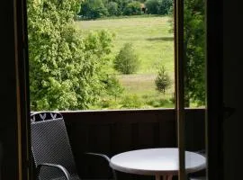 Apartments Carmen-Braunlage