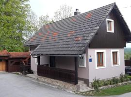 Guesthouse Andrea, pension in Poljanak