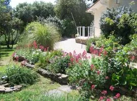 Les Florides