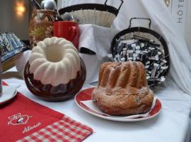 Hotel Primo Colmar Centre, pet-friendly hotel in Colmar