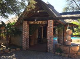 Boskoppie Lion & Tiger Reserve – domek letniskowy w mieście Kroonstad