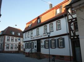 Hotel Schwartzer Löwe, hotel i Babenhausen