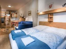 Apartmánový dom Spiežovec - Ap. 4
