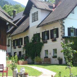 Das kleine Paradies