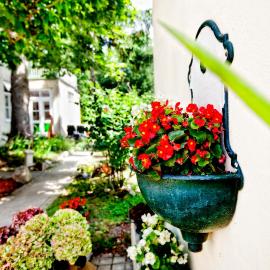 Pension Margit, hotel u Badenu
