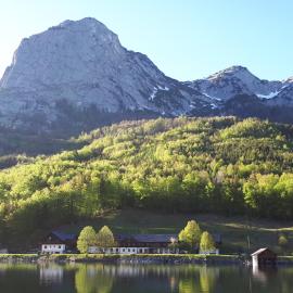 Pension Ladner
