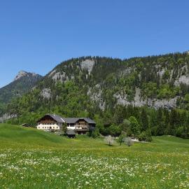 Urlauben im Grünen, hotel i Fuschl am See