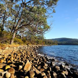 NRMA Port Arthur Holiday Park, Hotel in Port Arthur