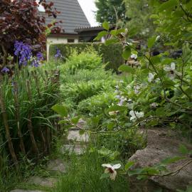 Bed & Breakfast Horsens: Horsens şehrinde bir otel