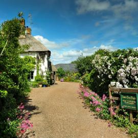 Town End Farm Cottages, hotel in Taunton