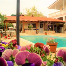 Jacuzzi Pool House AMA5690, hotel in Chalkis