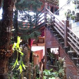 Sea Villa Homestay、Tongxiaoのホテル