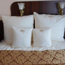 Dormed Medical SPA, hotel in Busko-Zdrój