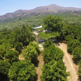 KaliVie Bio Farm & Retreat, hotel in Moírai