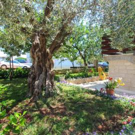 Zelena oaza Apartment, hotelli kohteessa Novigrad Istria