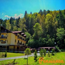 Pensiunea Geona, hotel in Poiana Teiului