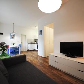 Apartma Prešern with big terrace