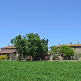 Cortona Holiday Home, hotel in Cortona