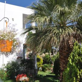 Korfes Apartments