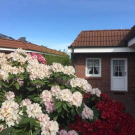 Pension KRUSE, hotel in Büsum